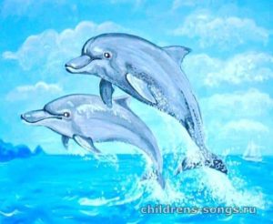 текст песни «Дельфины»