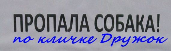 текст песни Пропала собака по кличке Дружок