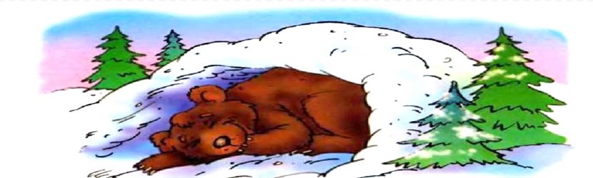 Почему медведь зимой спит