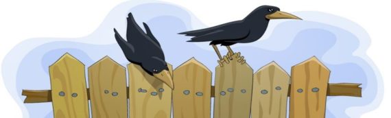 текст песни Прилетели восемь галок