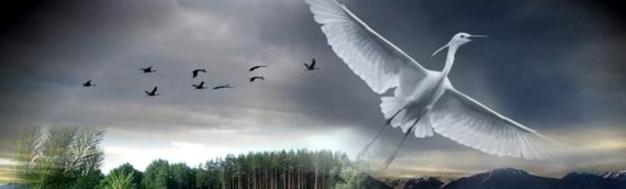 текст песни Журавлёнок