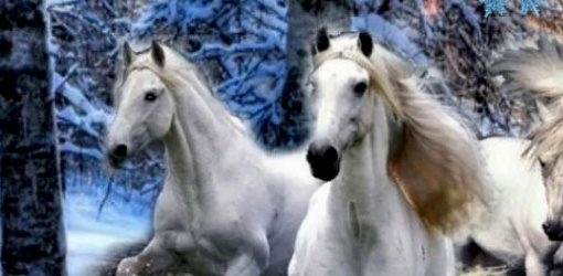 текст песни Три белых коня
